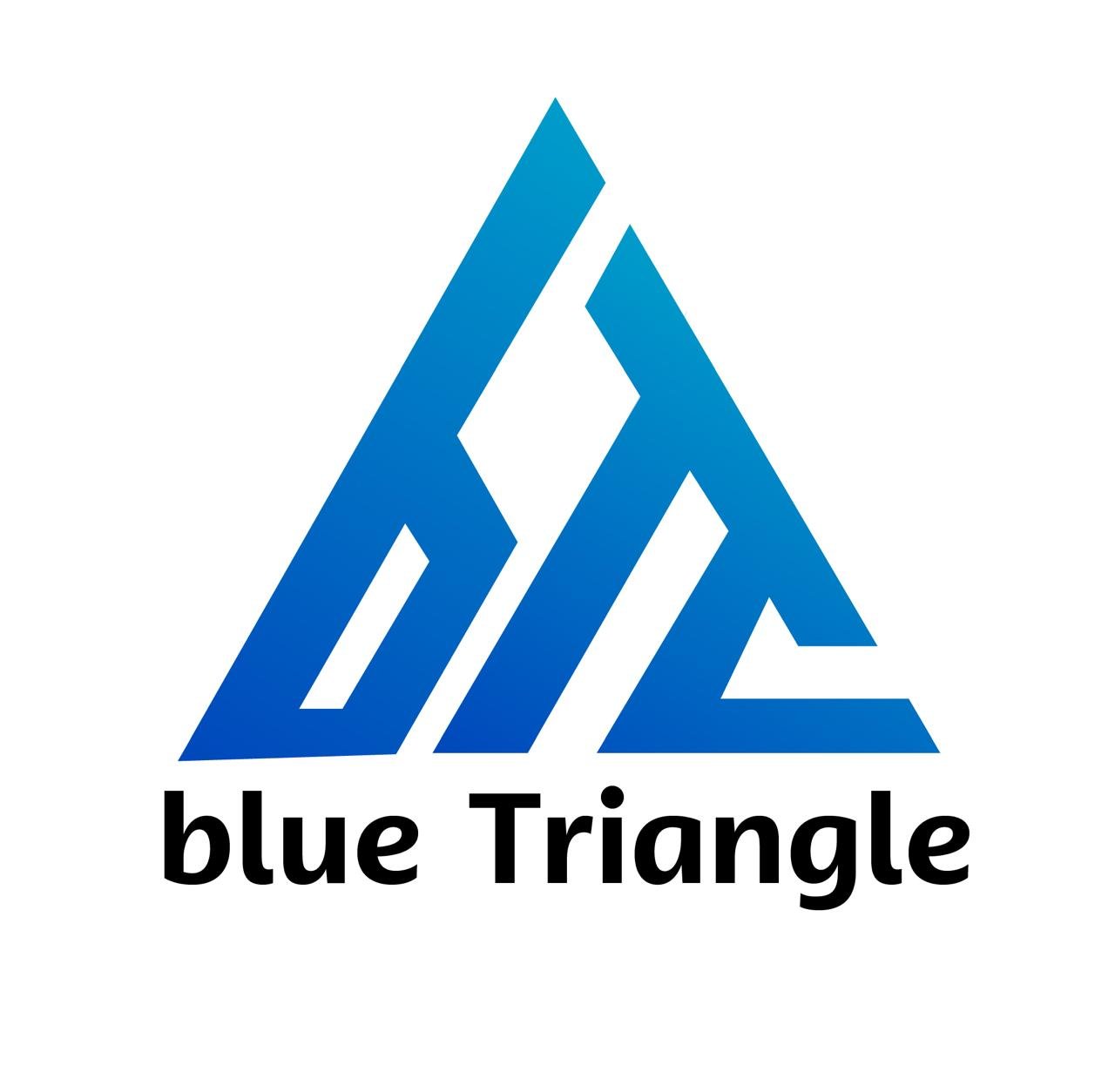 Blue Triangle Logo